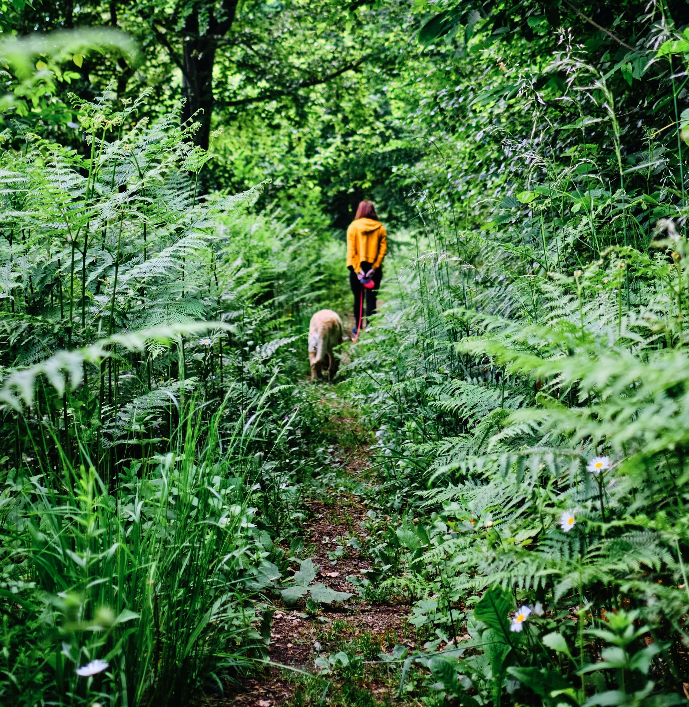 By choosing second hand, your purchase is meaningful